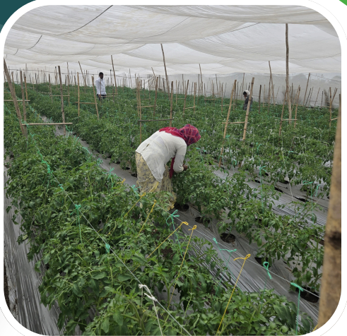 Screenshot 2025-05-18 100945