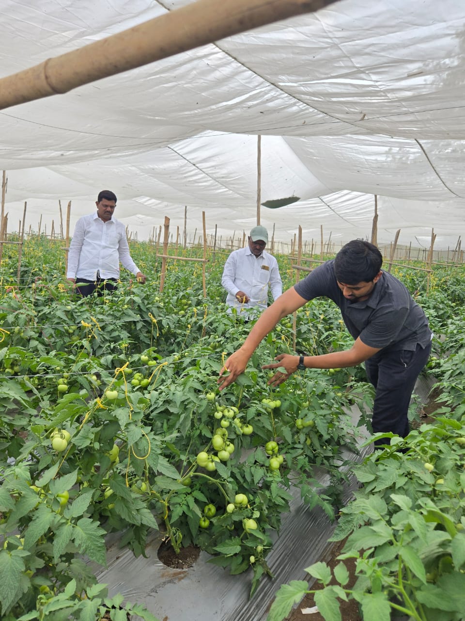 WhatsApp Image 2025-05-20 at 13.03.31_83ecfd22