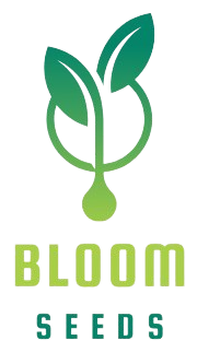 WhatsApp_Image_2025-05-20_at_13.03.30_ef934af6-removebg-preview