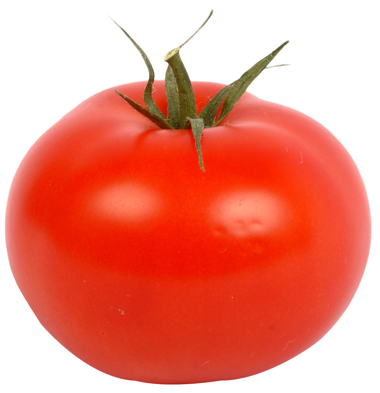 fresh-red-tomato-png-image-png-transparent-best-photos-40
